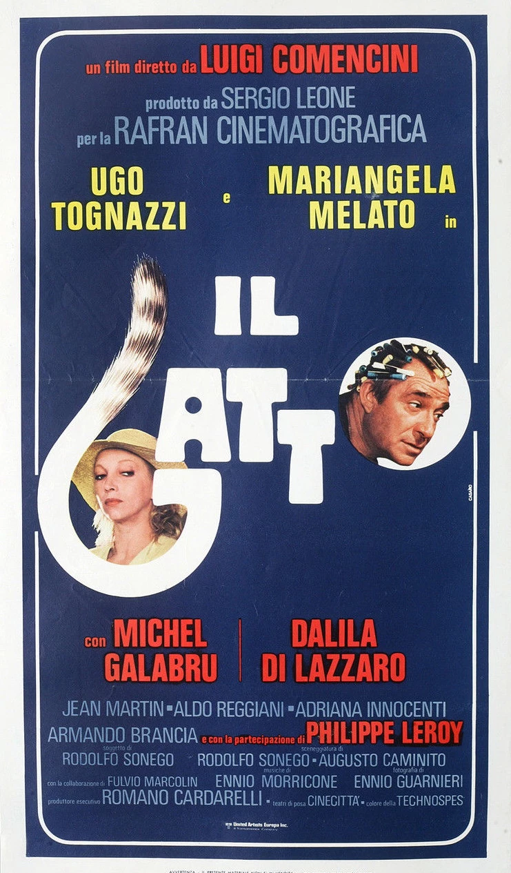    Kot