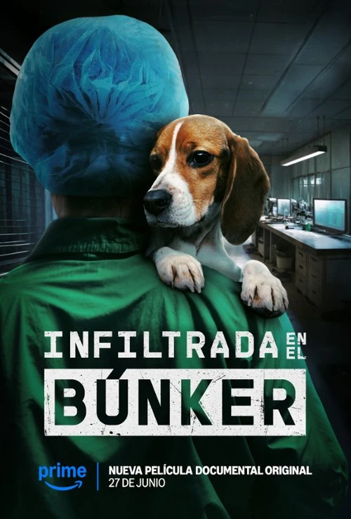    Undercover. Inside the bunker