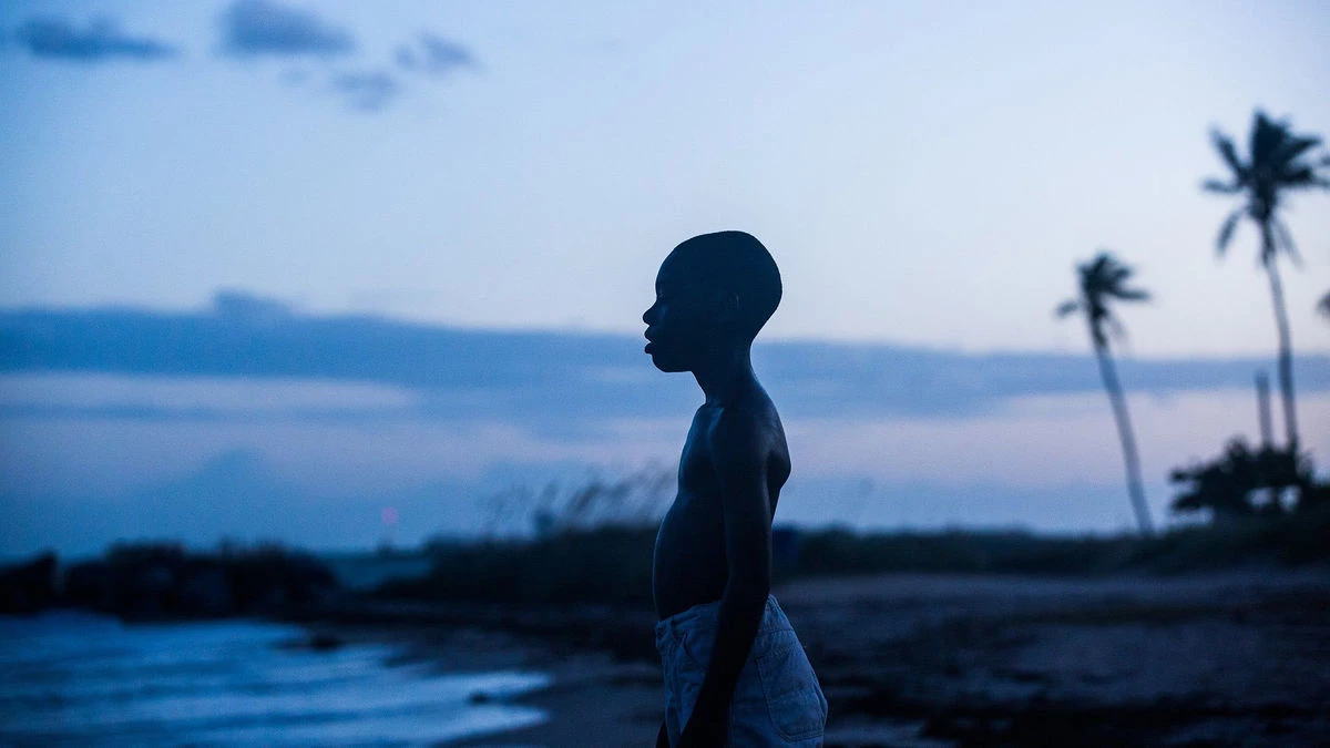 5. Moonlight (2016)