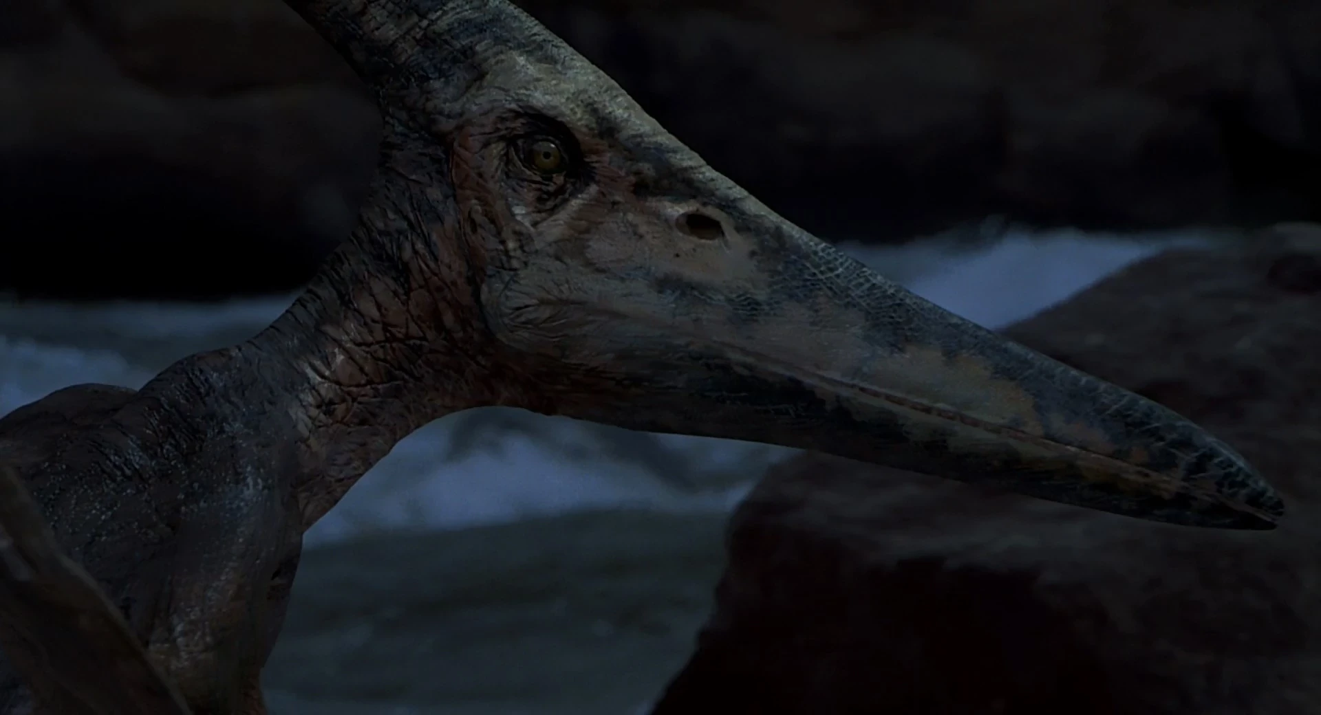 7. Pteranodon