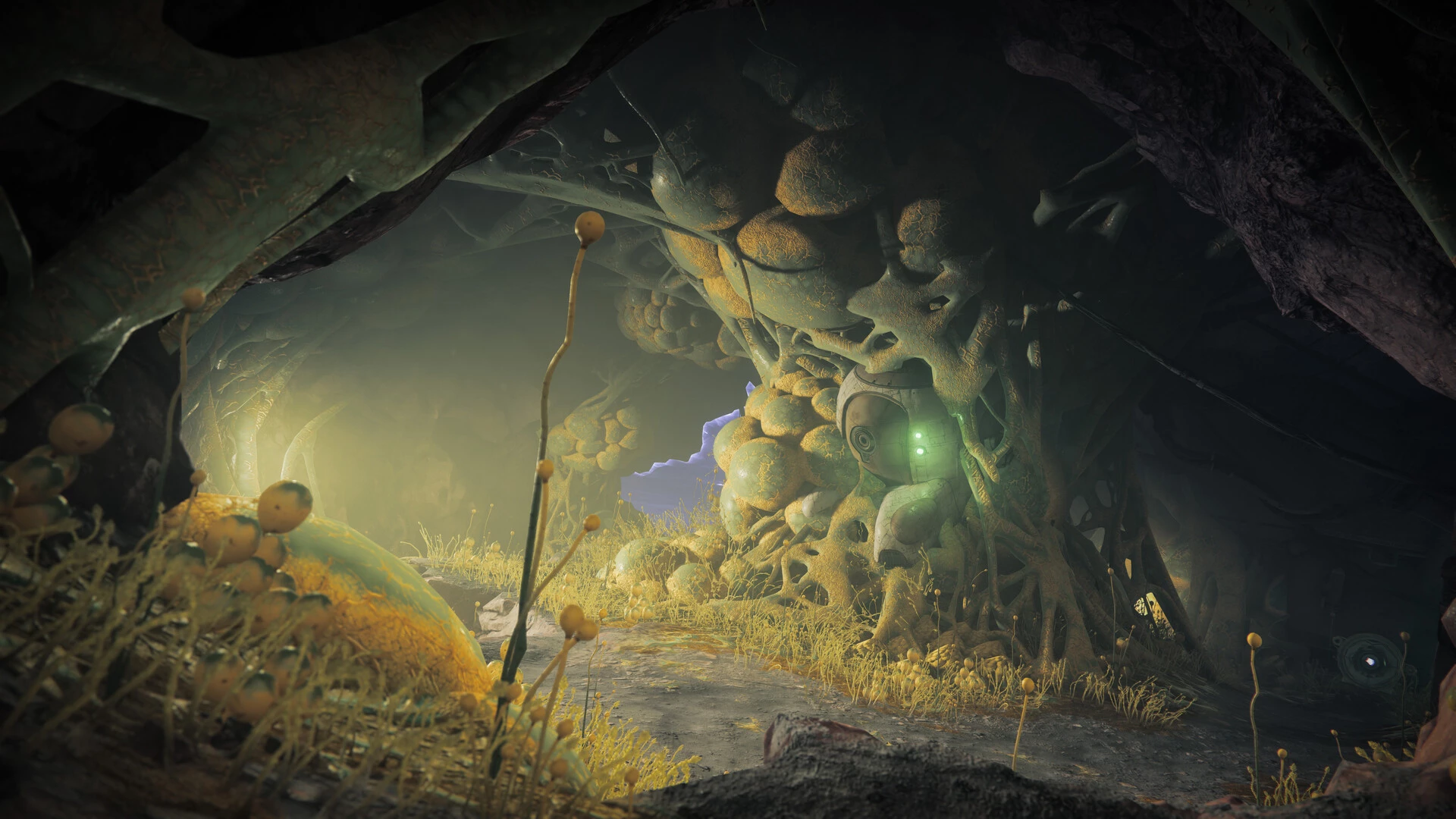 Destiny 2: Na krawędzi