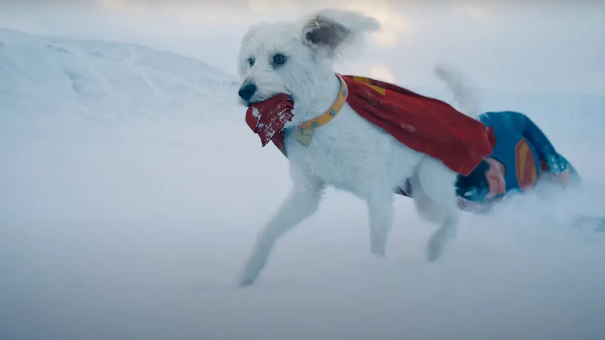 Krypto kontra... kot. James Gunn dzieli się materiałem testowym - "to nie to samo, co AI"