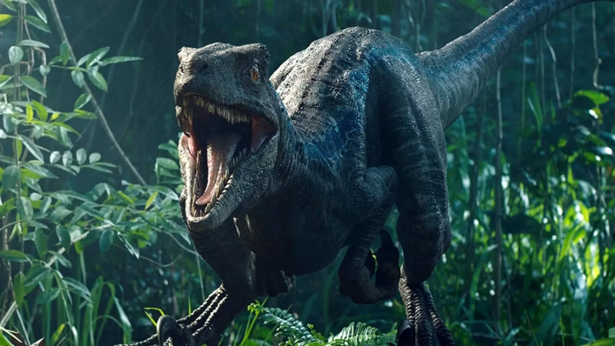 2. Velociraptor