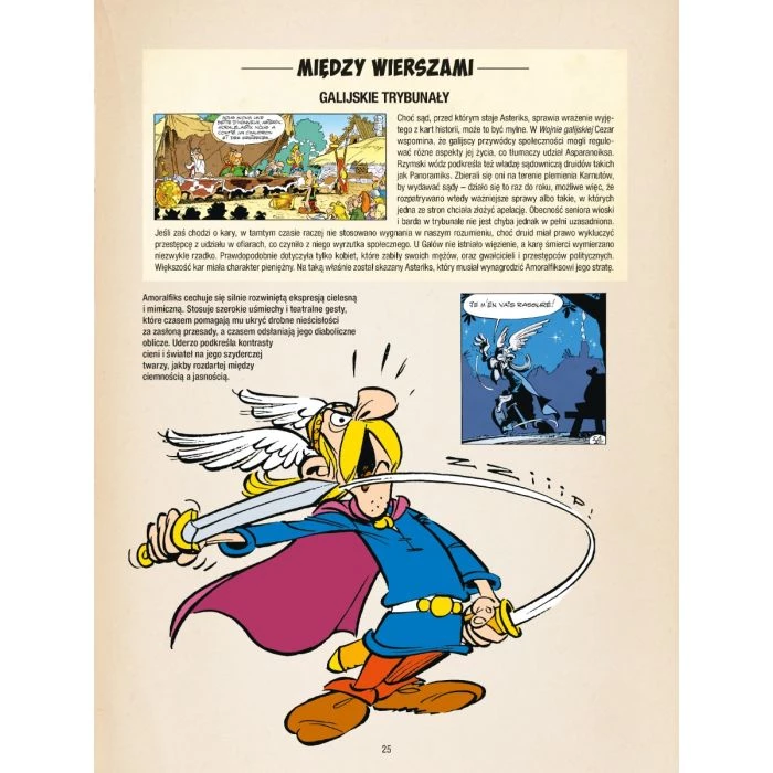 Asteriks i kociołek - plansza