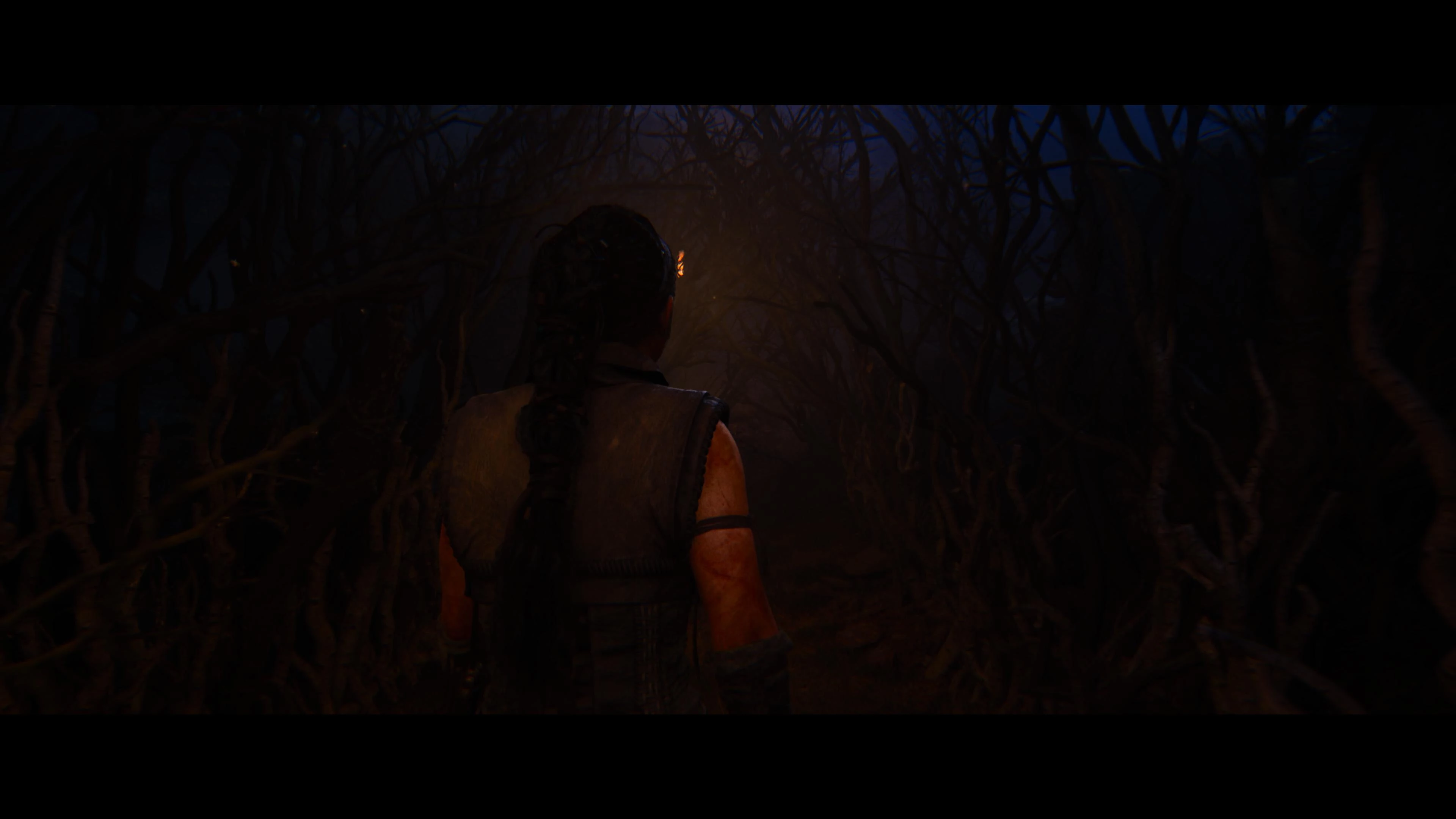 Senua's Saga: Hellblade II (PS5)