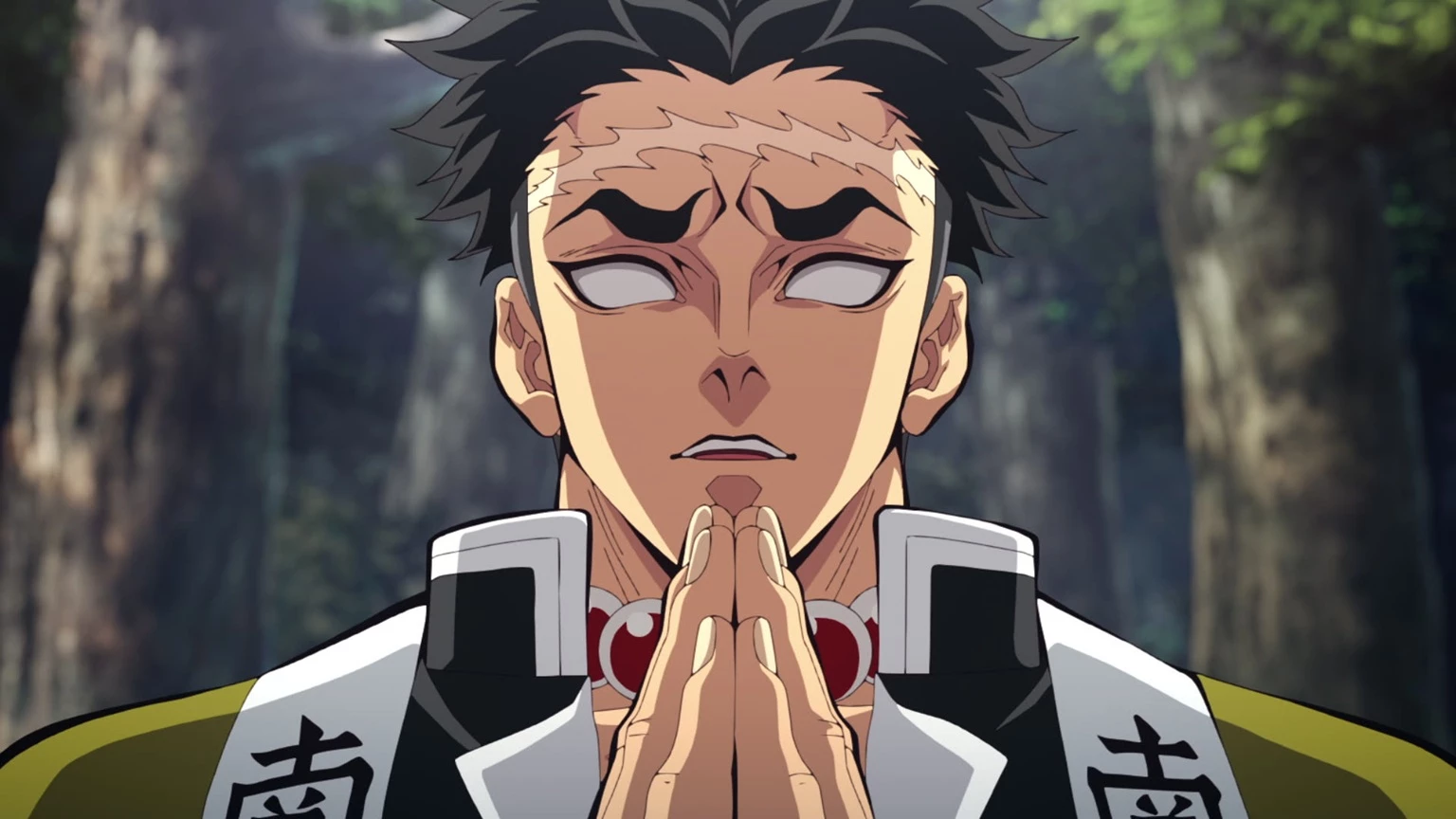 6. Gyomei Himejima