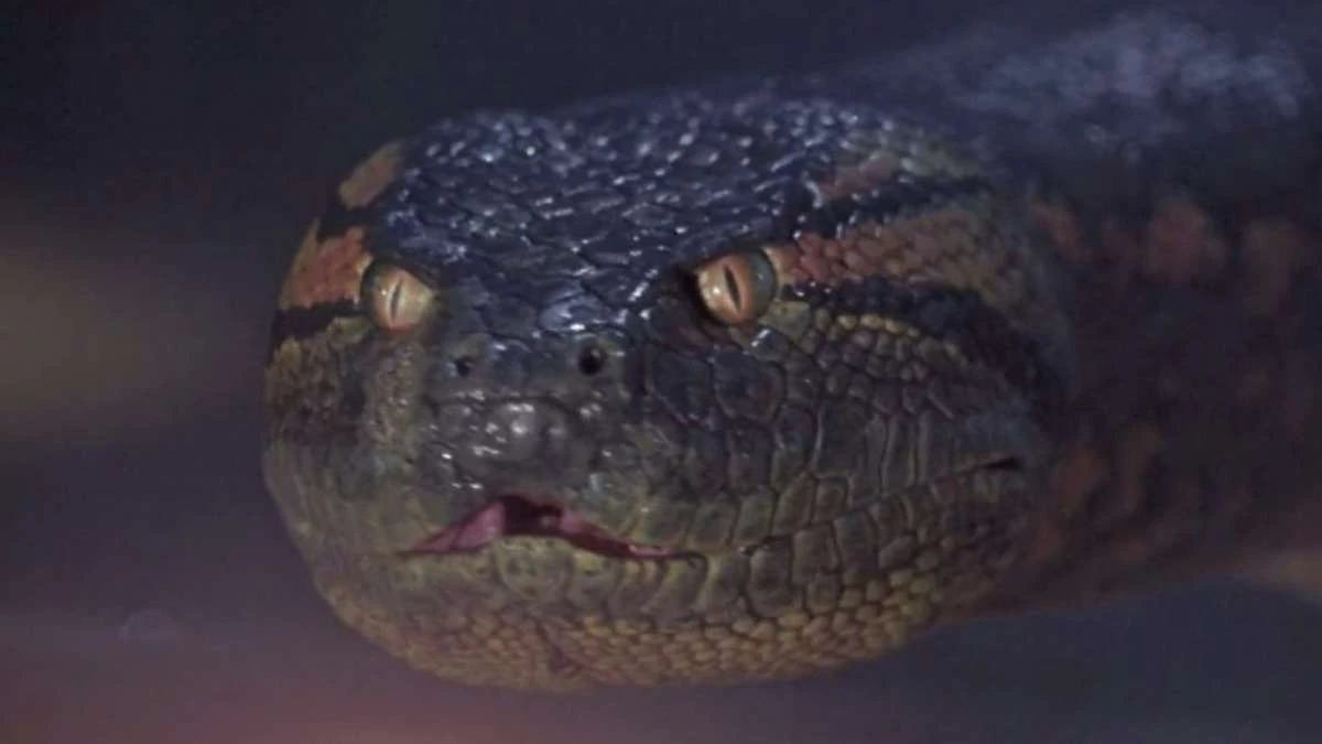 Hit kina klasy B z 1997 roku wraca. Tak wygląda limitowana edycja 4K