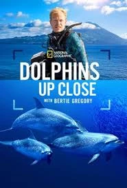     Bertie Gregory: bliskie spotkanie z delfinami