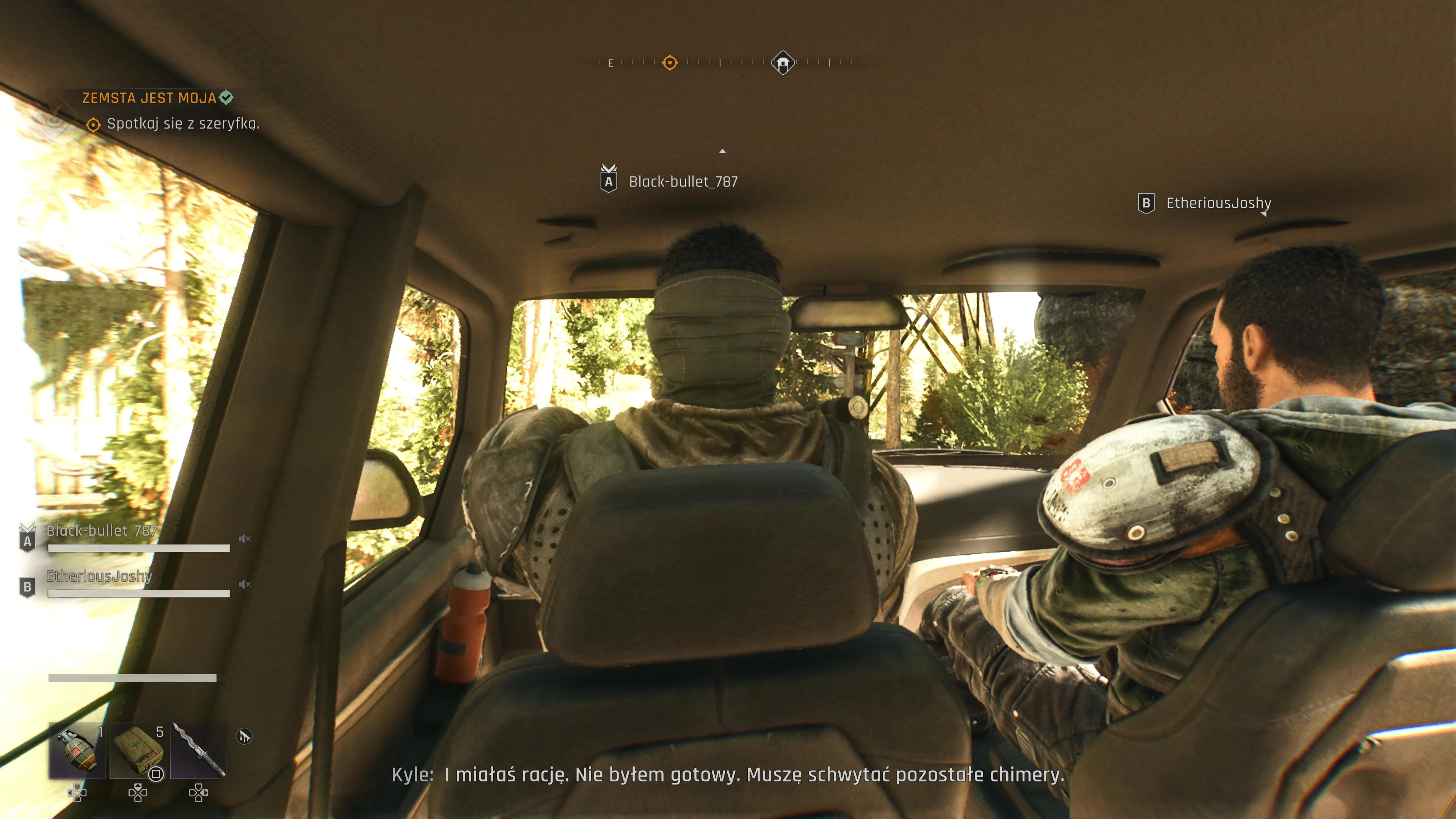 Dying Light: The Beast