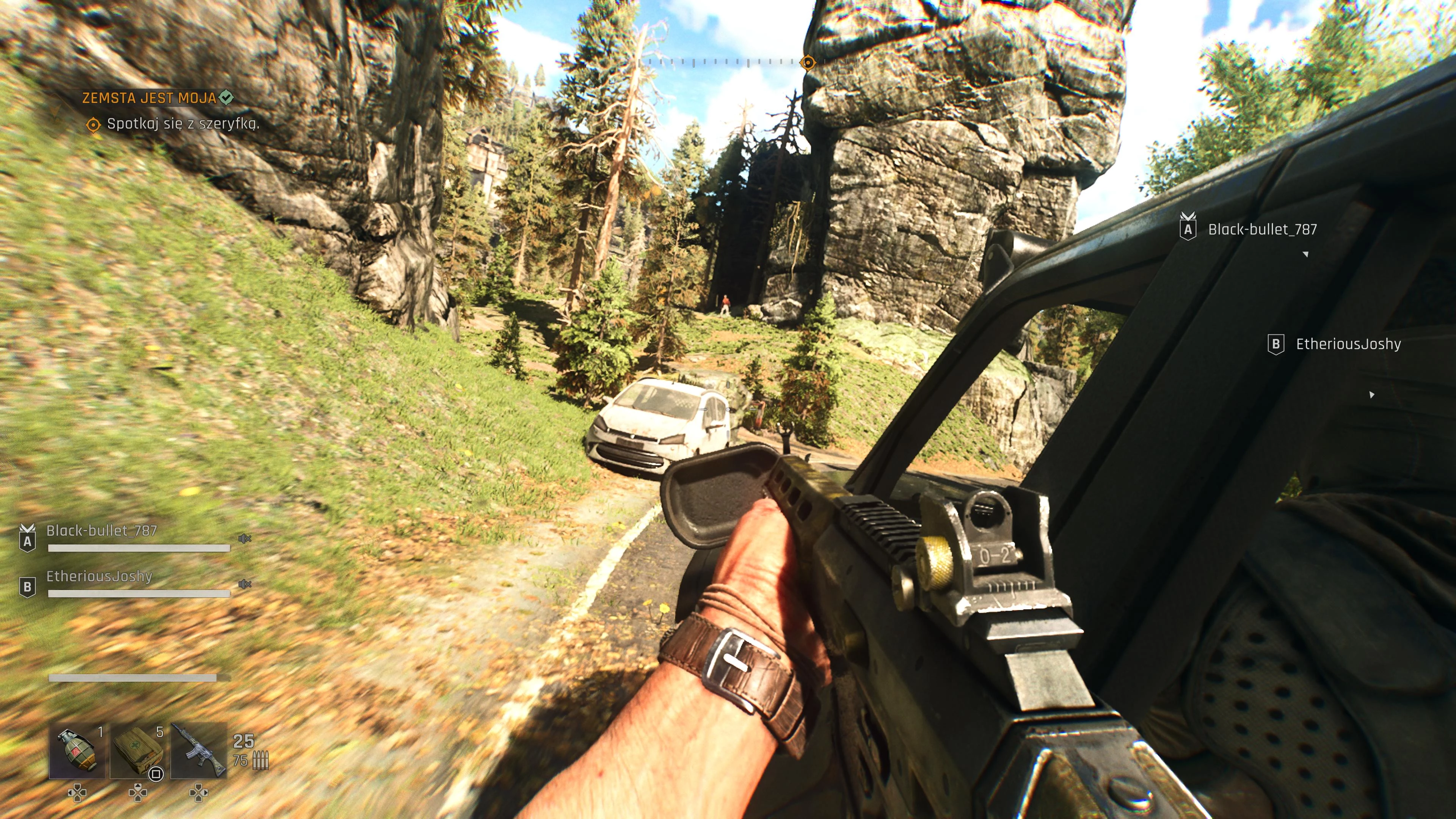 Dying Light: The Beast