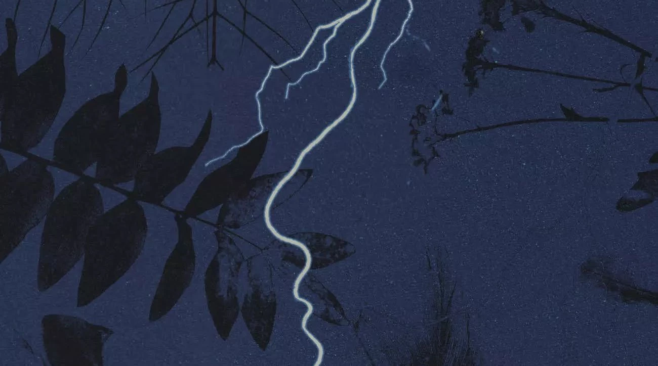 Epizod z życia malarza podróżnika - recenzja książki