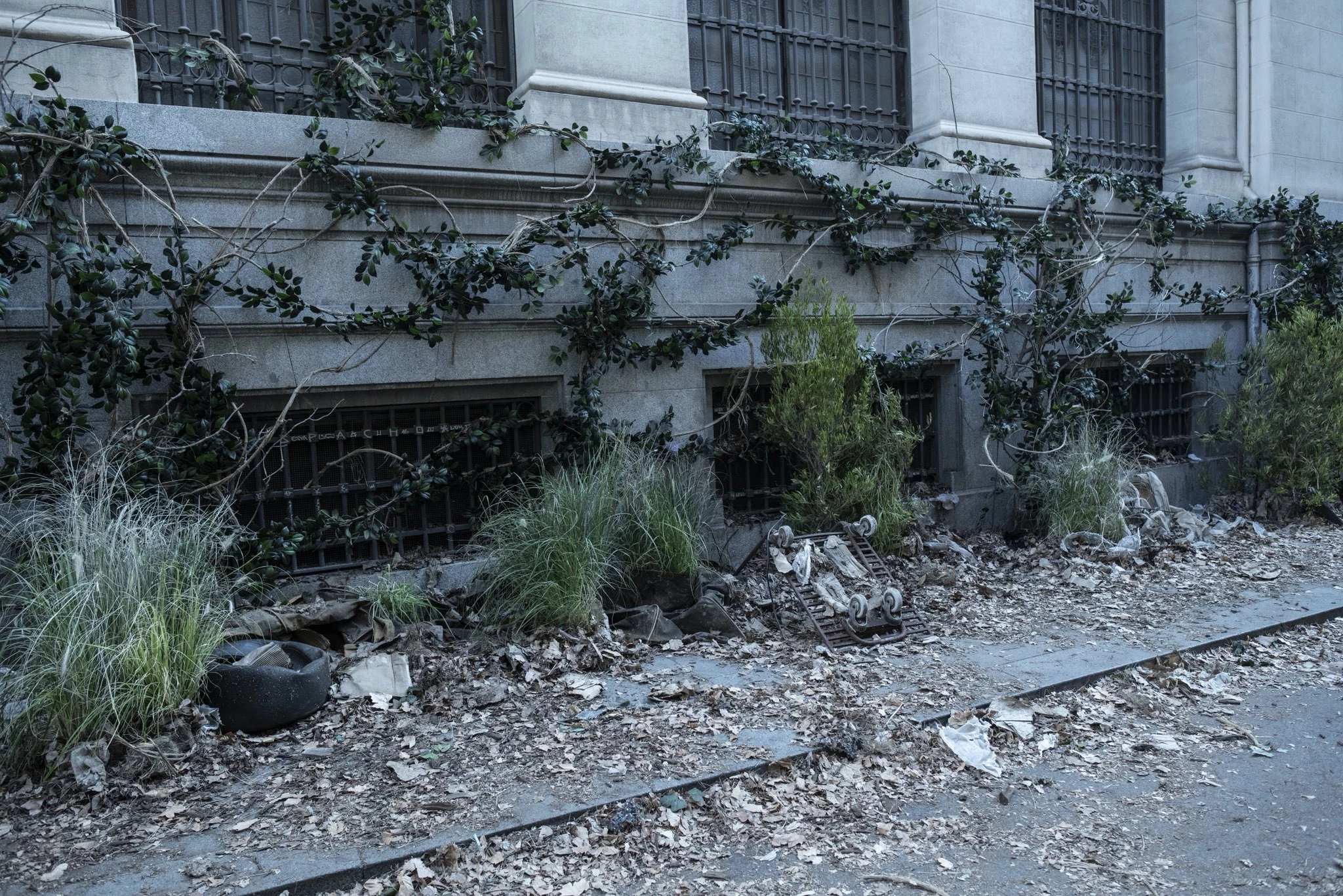 The Walking Dead: Daryl Dixon - sezon 3, odcinek 1 (zdjęcie zza kulis)