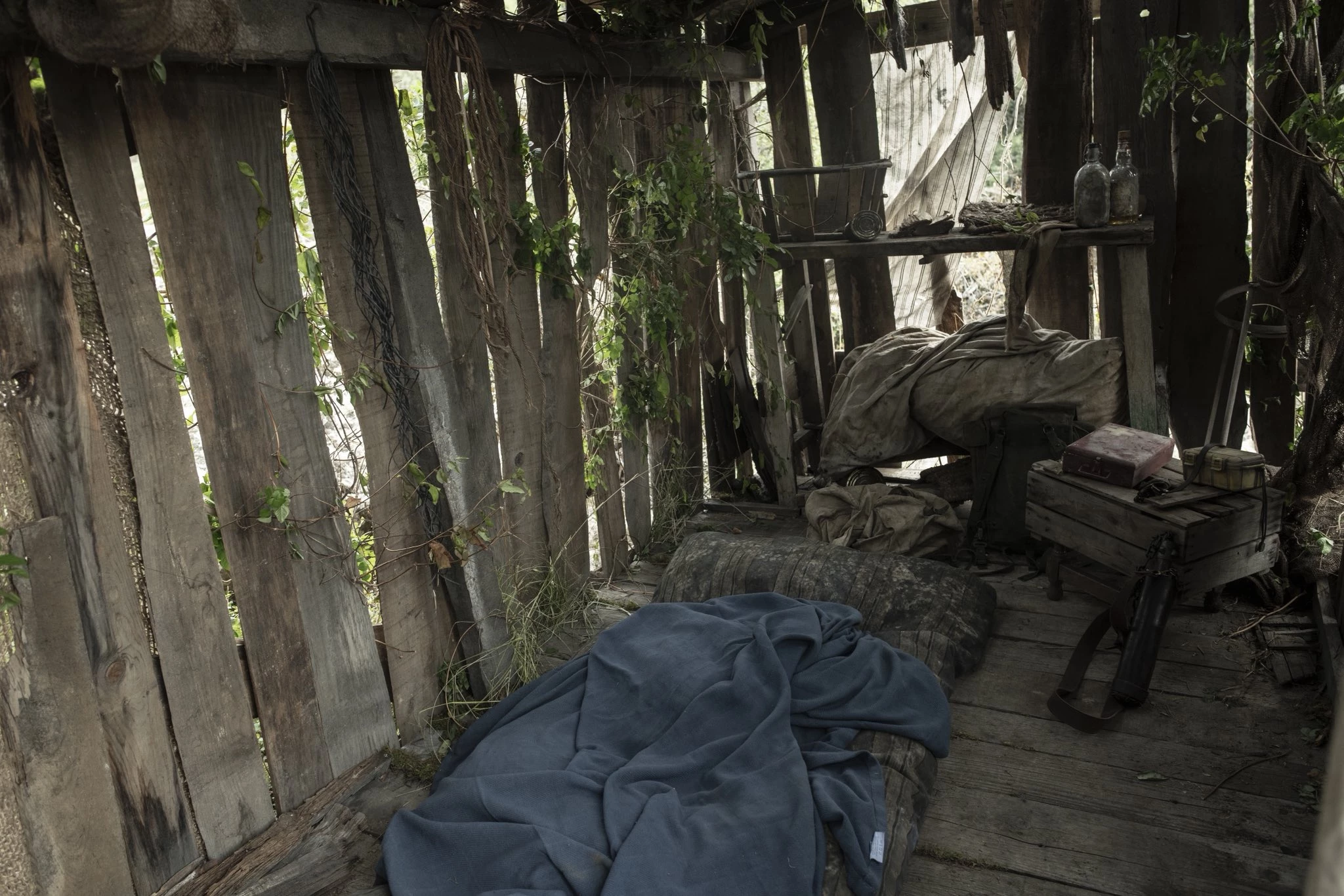 The Walking Dead: Daryl Dixon - sezon 3, odcinek 1 (zdjęcie zza kulis)