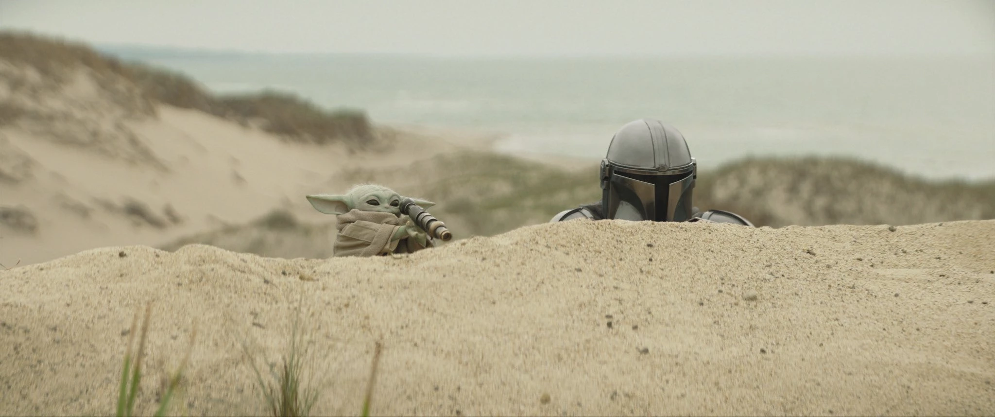 The Mandalorian & Grogu