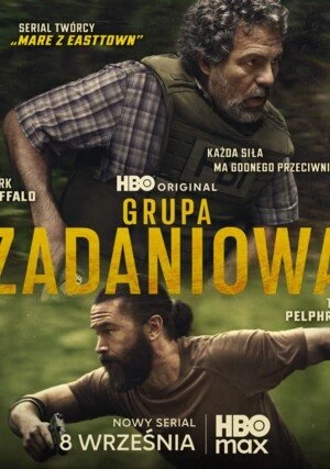     Grupa zadaniowa