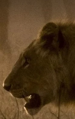     Natura. Proces ciągłej zmiany