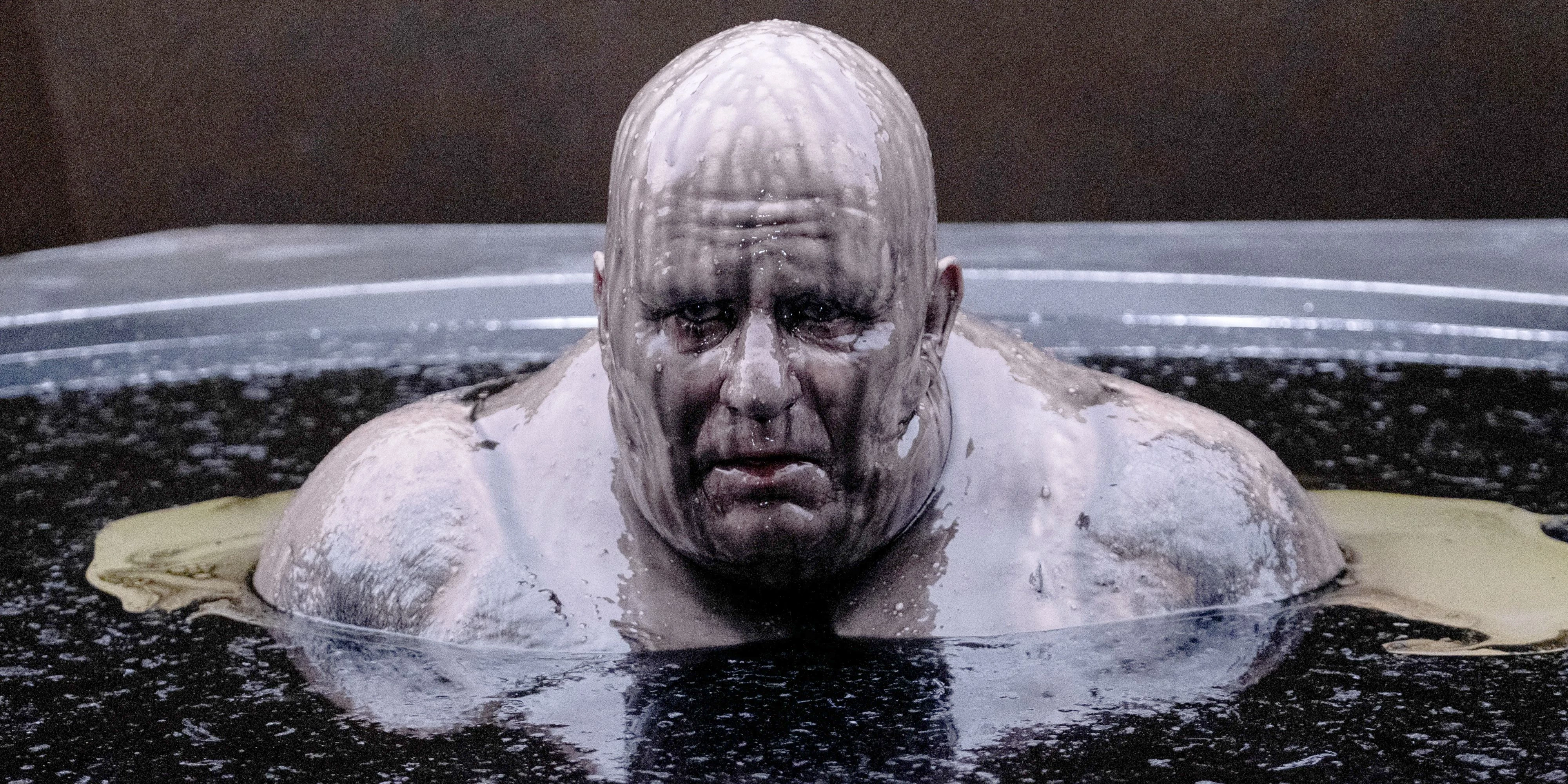 Stellan Skarsgård wystąpił w dwóch częściach „Diuny” jako Baron Vladimir Harkonnen. By upodobnić się do bohatera, musiał pokryć twarz, ręce i stopy protetykami, a na ciało włożyć ciężki kombinezon piankowy, zmieniający sylwetkę. Charakteryzacja zajmowała cztery godziny, jeśli jego postać była ubrana, a prawie siedem, jeśli była nago.