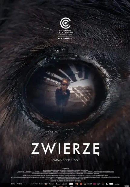     Zwierzę