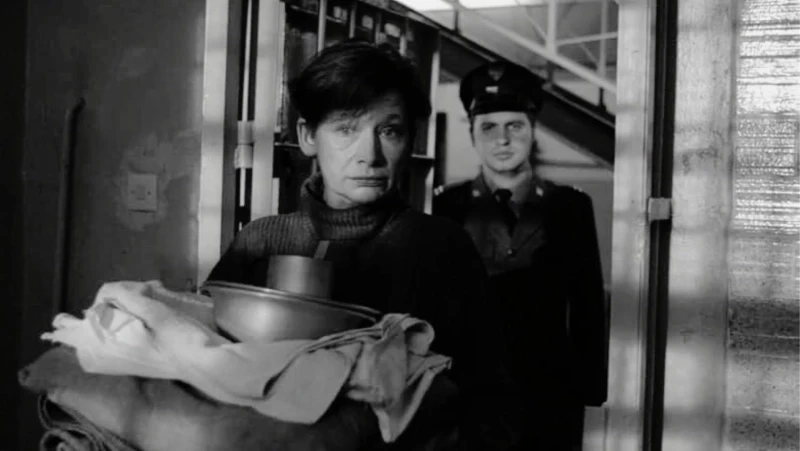 Jadwiga Jankowska-Cieślak (15 lutego 1951 - 15 kwietnia 2025): przyczyna śmierci aktorki nie została podana do wiadomości publicznej. Miała 74 lata.