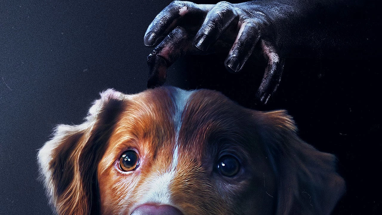 16. Good boy