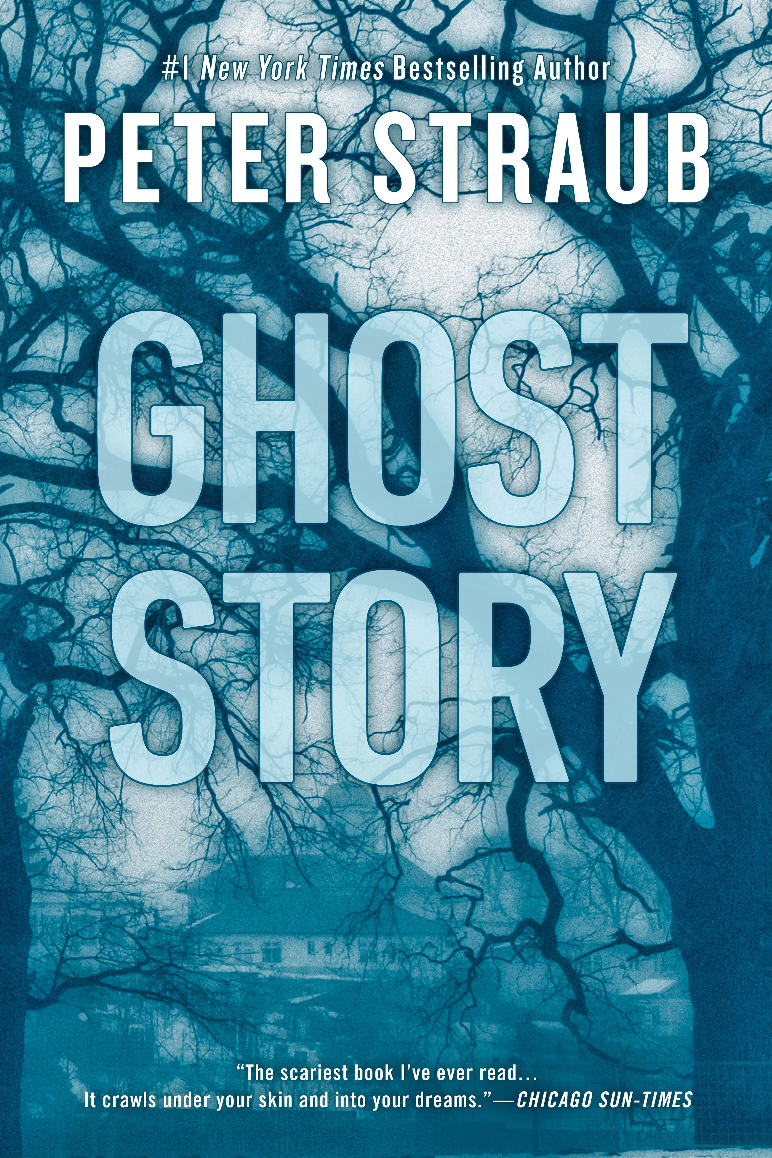 15. The Ghost Story - Peter Straub