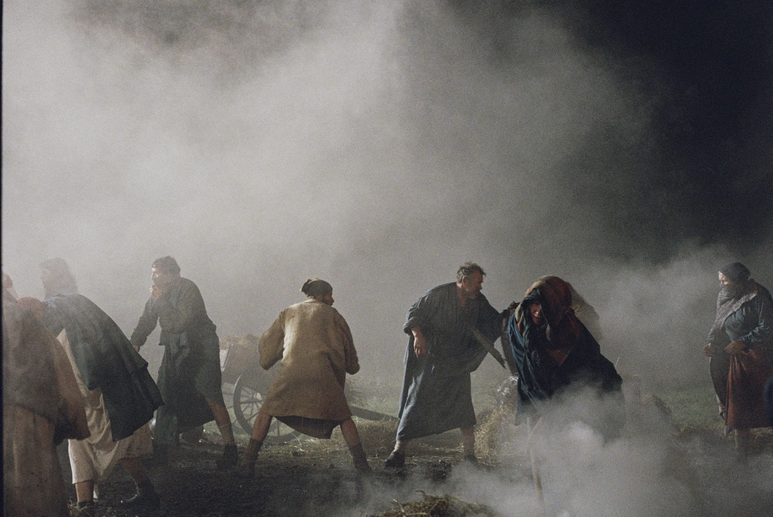 Harvest - oficjalny kadr z filmu