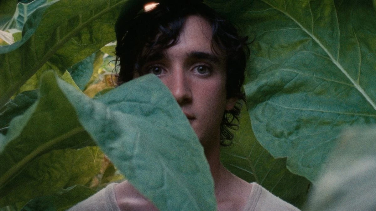 37. Szczęśliwy Lazzaro (2018)