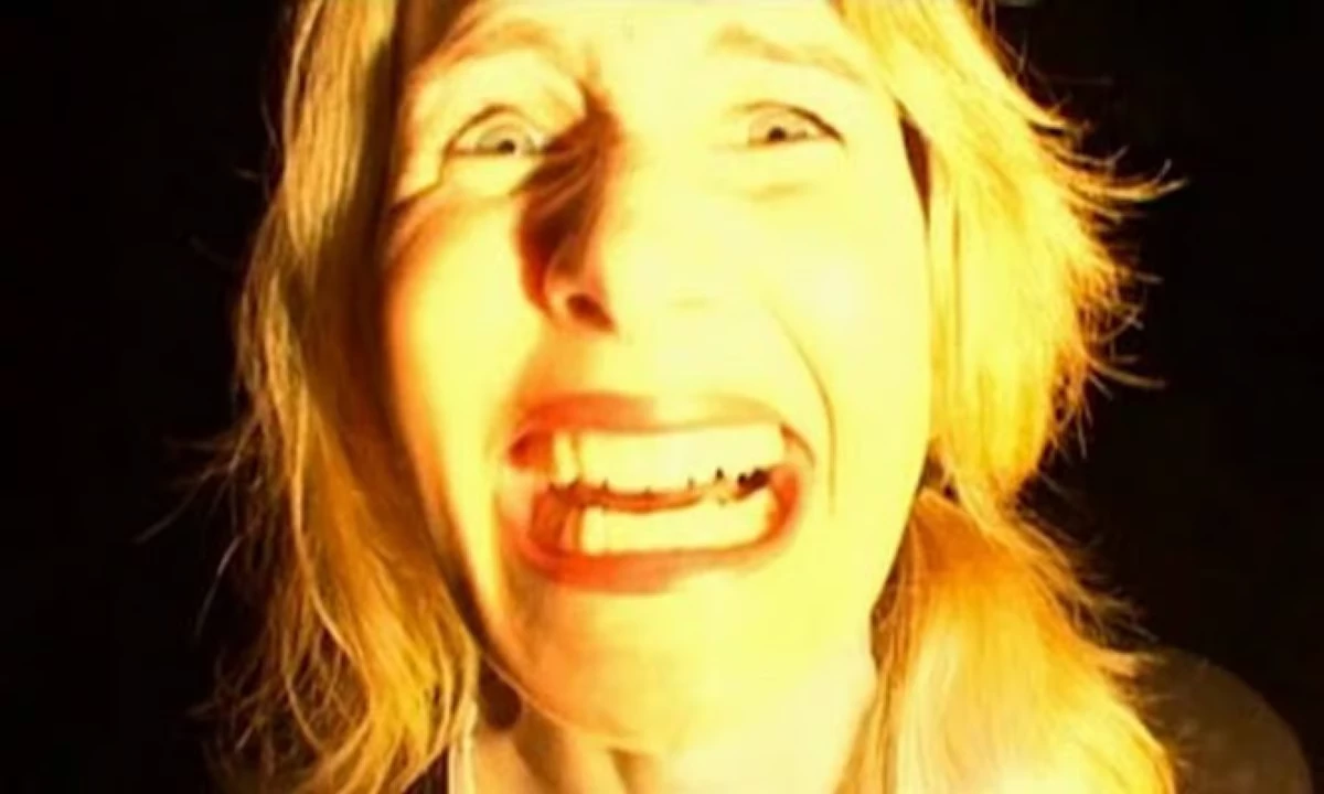 16. Inland Empire (2006)