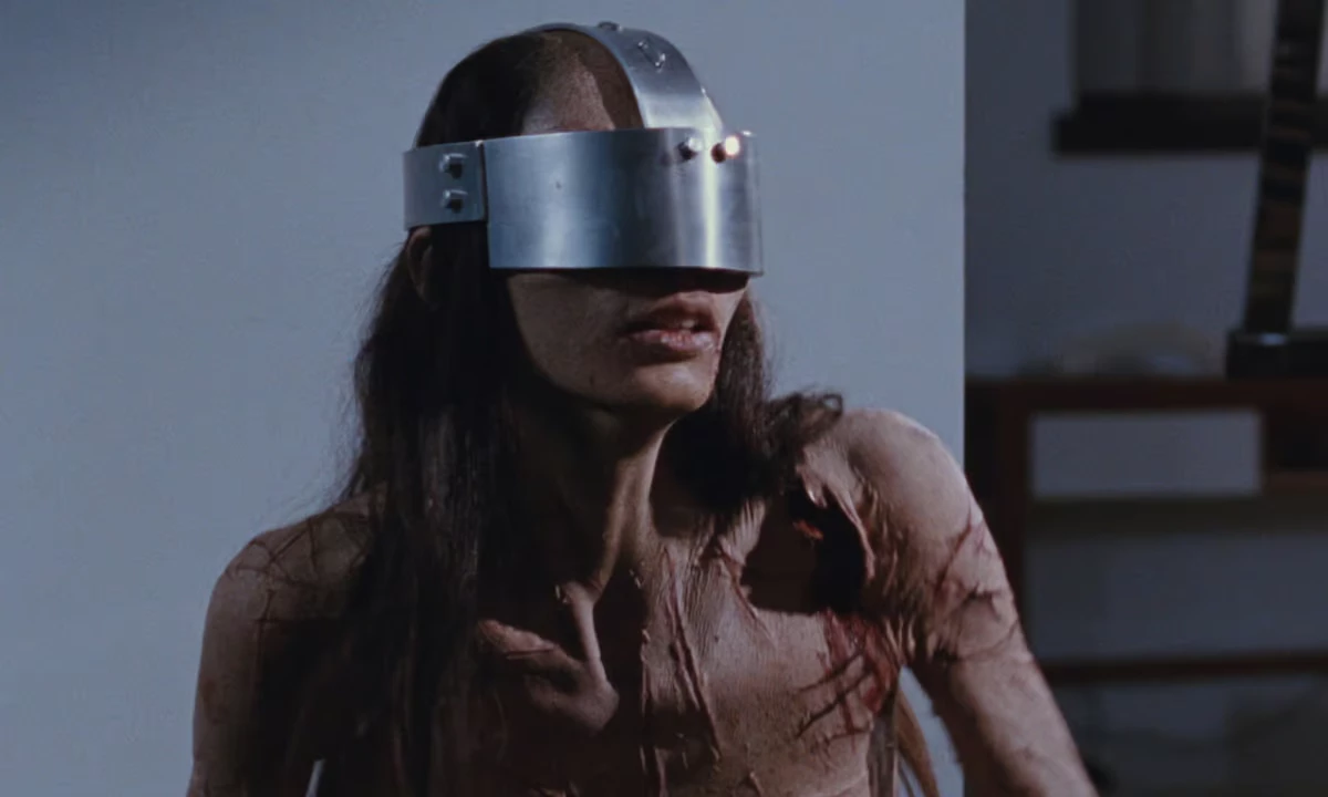 10. Martyrs. Skazani na strach (2008)