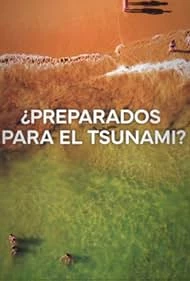     Czy grozi nam tsunami?