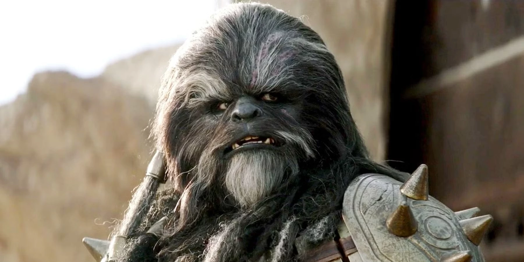 Wookiee (Gwiezdne wojny)