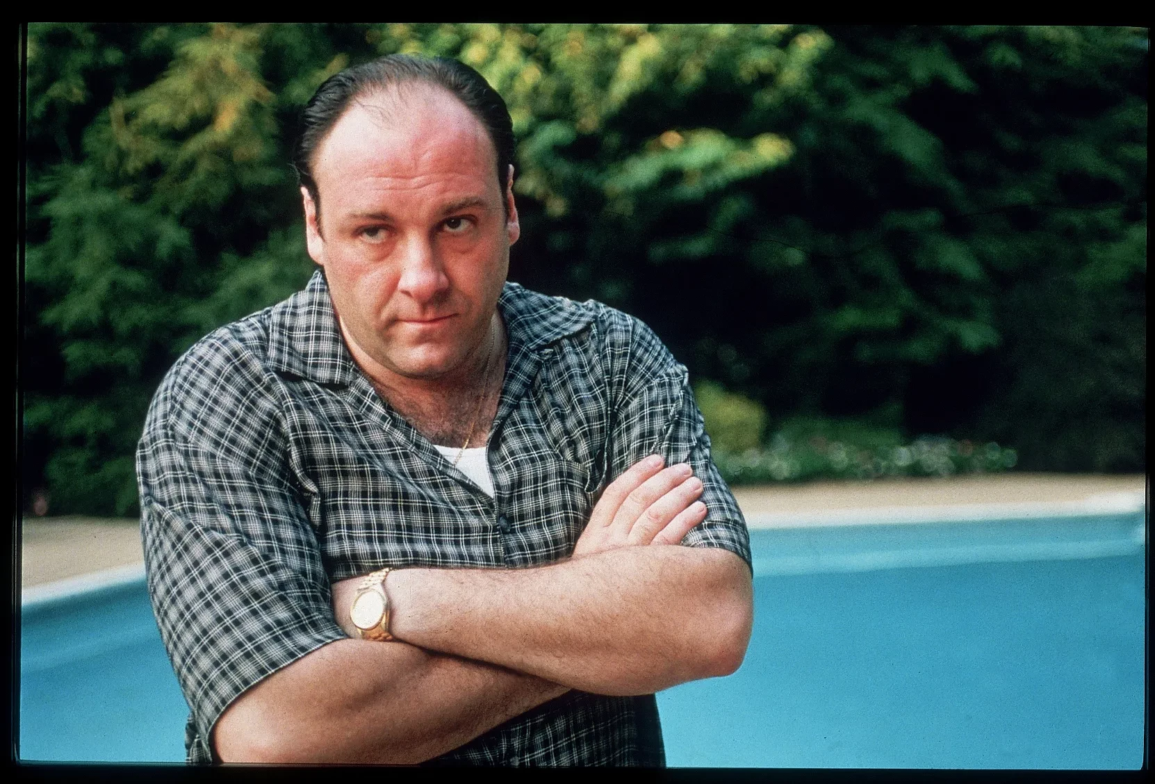 James Gandolfini jako Tony Soprano (Rodzina Soprano)