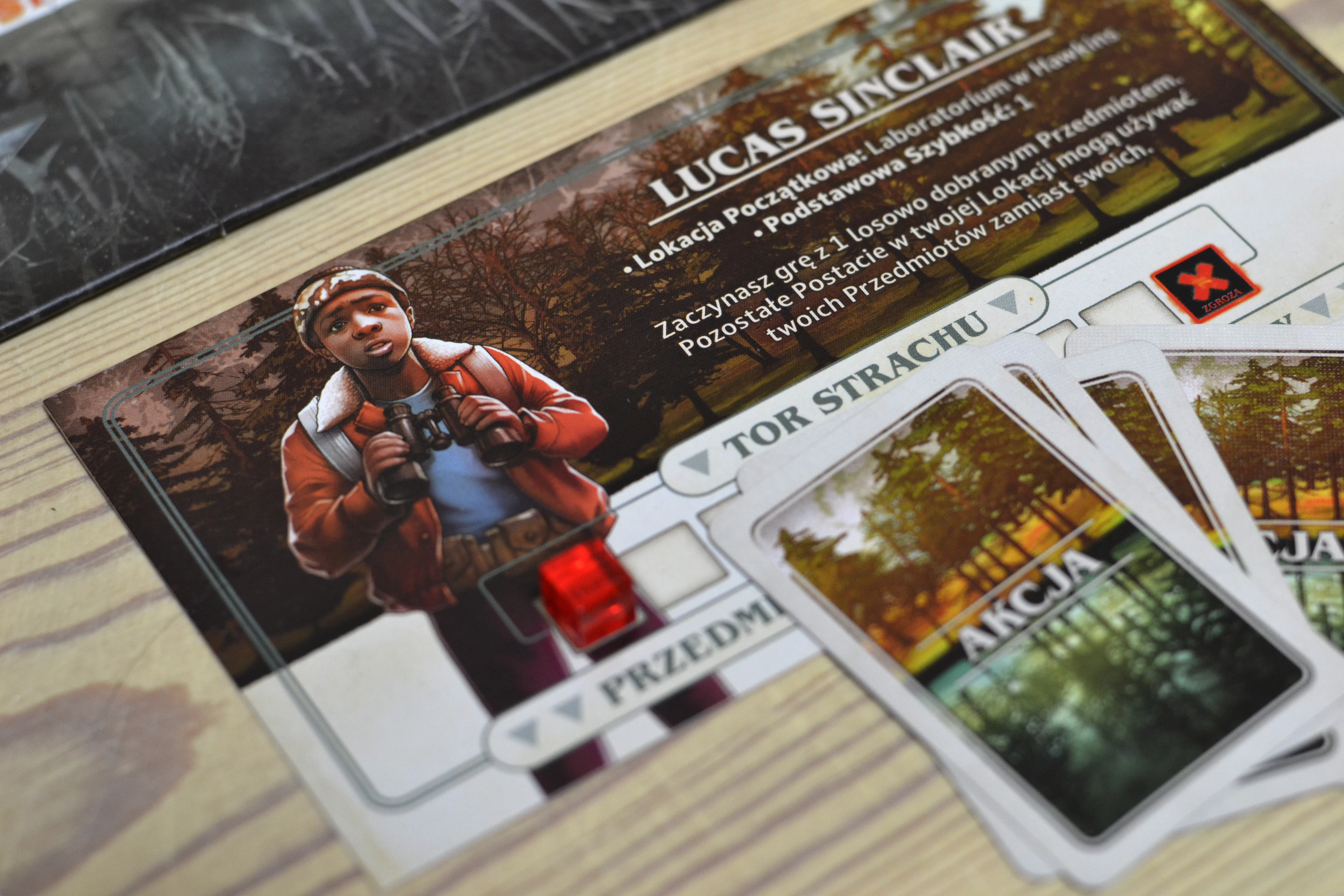 Stranger Things: Po Drugiej Stronie