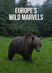     Europe's Wild Marvels