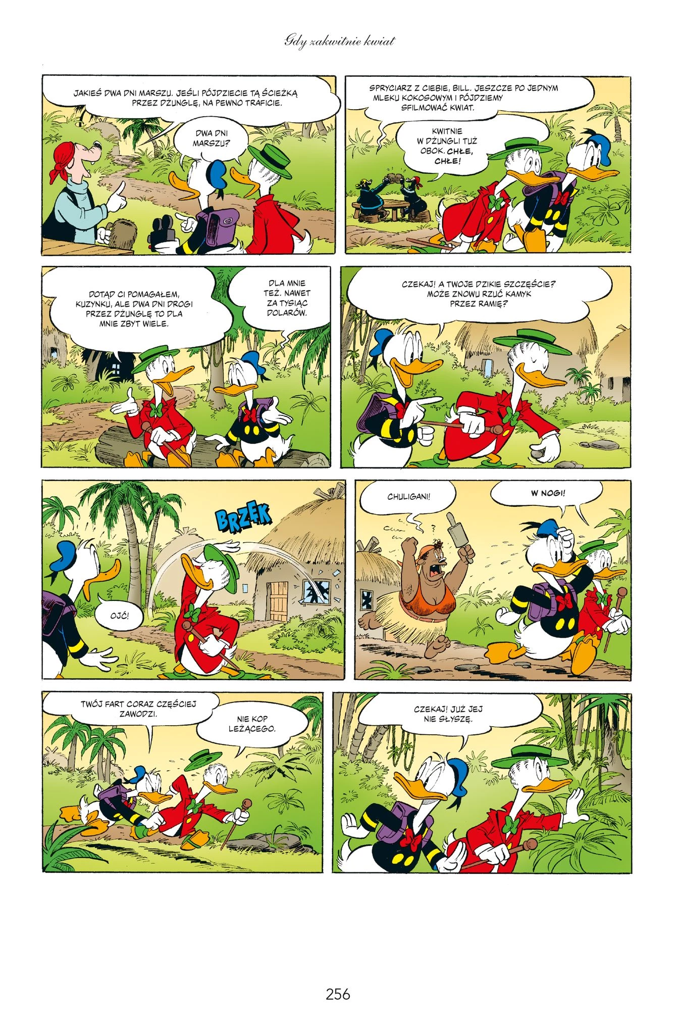 Kaczor Donald. Zakwakane przygody. „Kruki i kaczki” oraz inne historie. Tom 1 - plansza