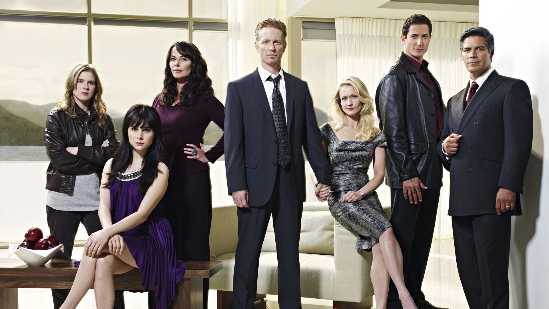 37. Caprica (2009-2010)