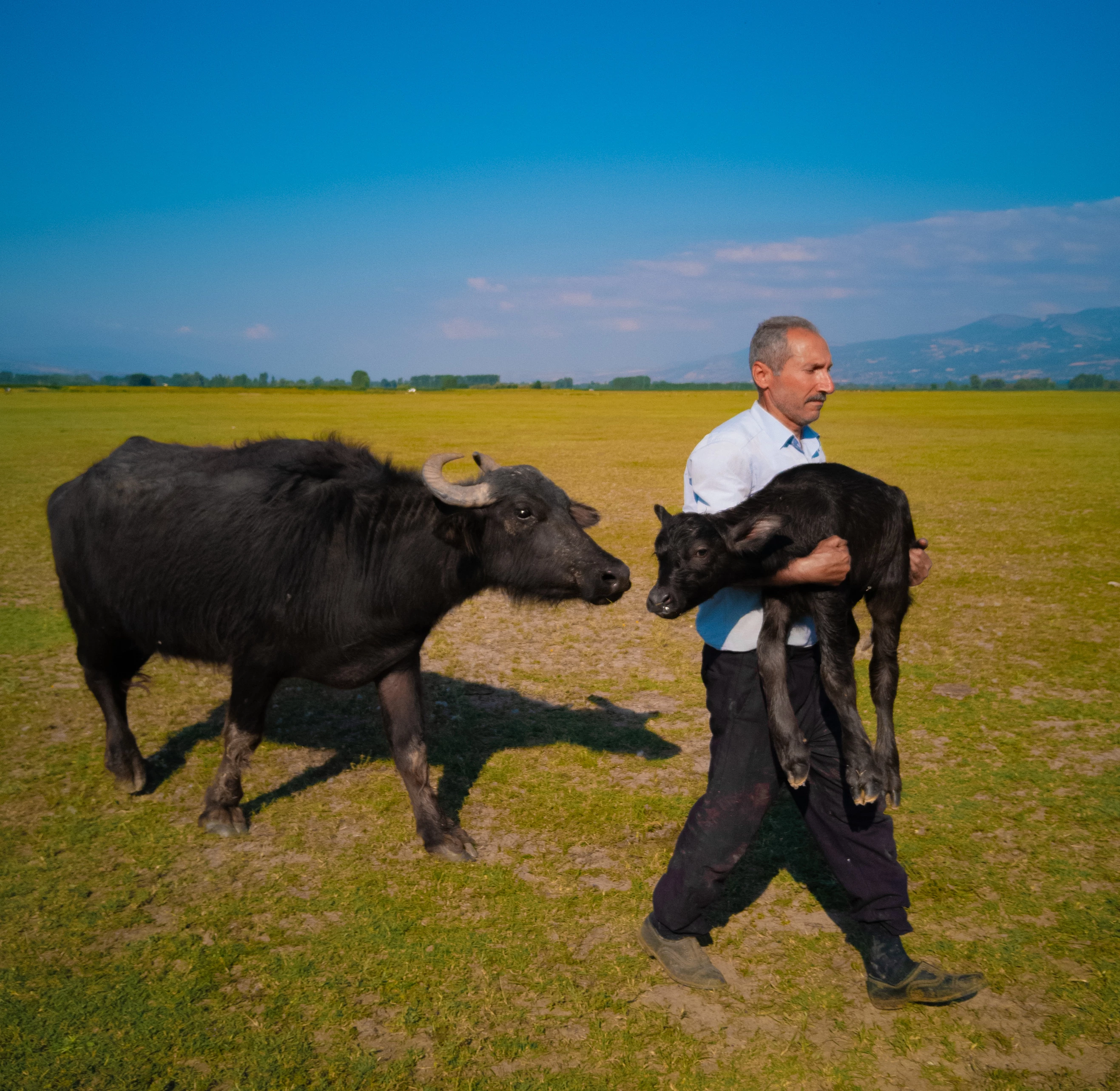 New Lıfe-©Mehmet Emin Coruş-HUAWEI MATE 10 Pro