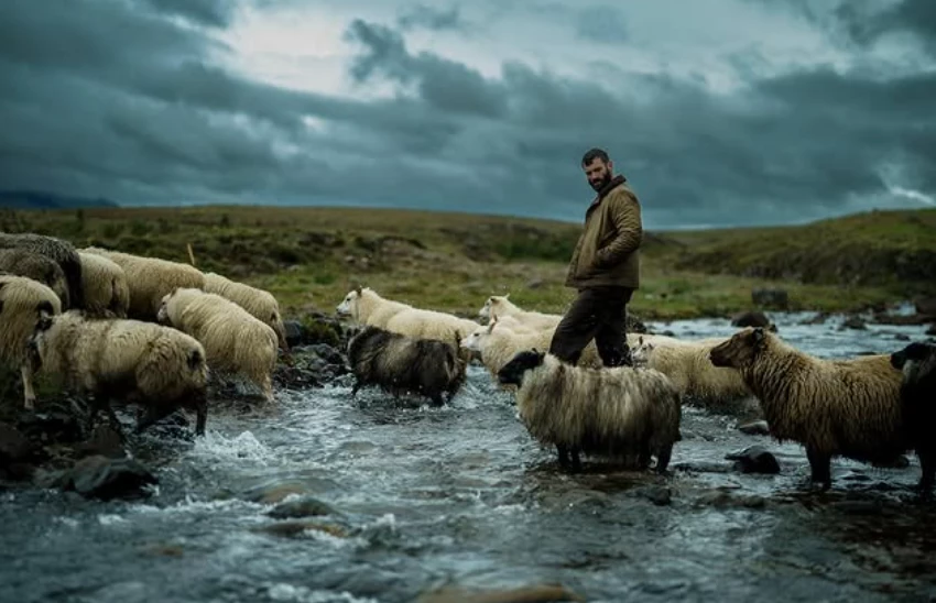 The Last Photograph, reż. Zack Snyder