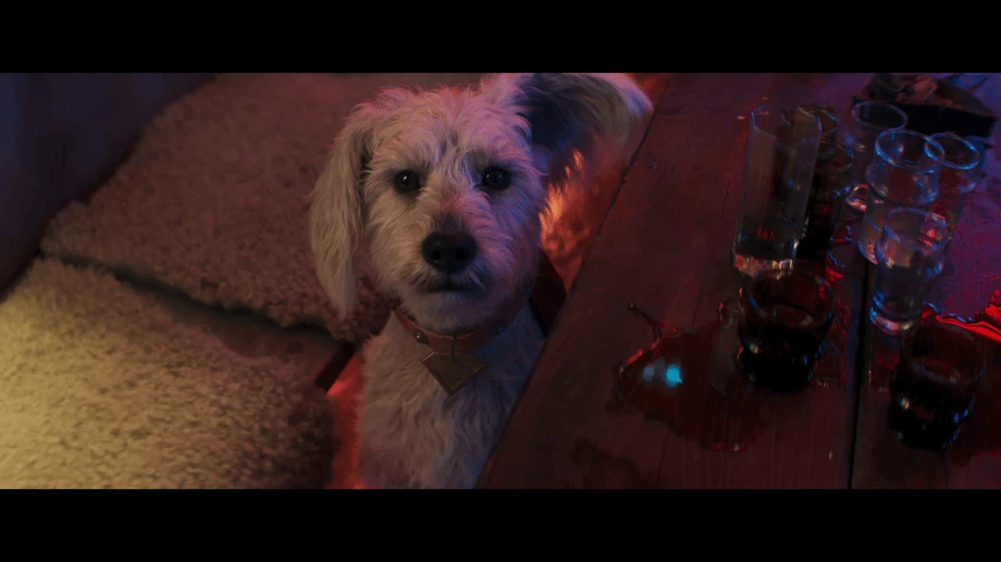 Imprezowanie na obcych planetach