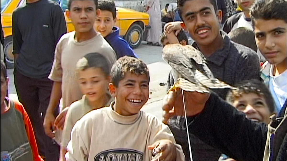 50. Gaza. List z przeszłości