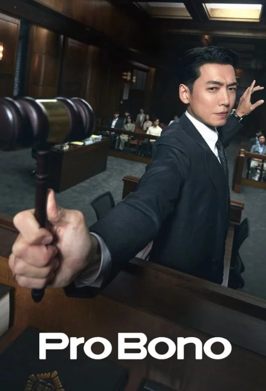     Pro Bono