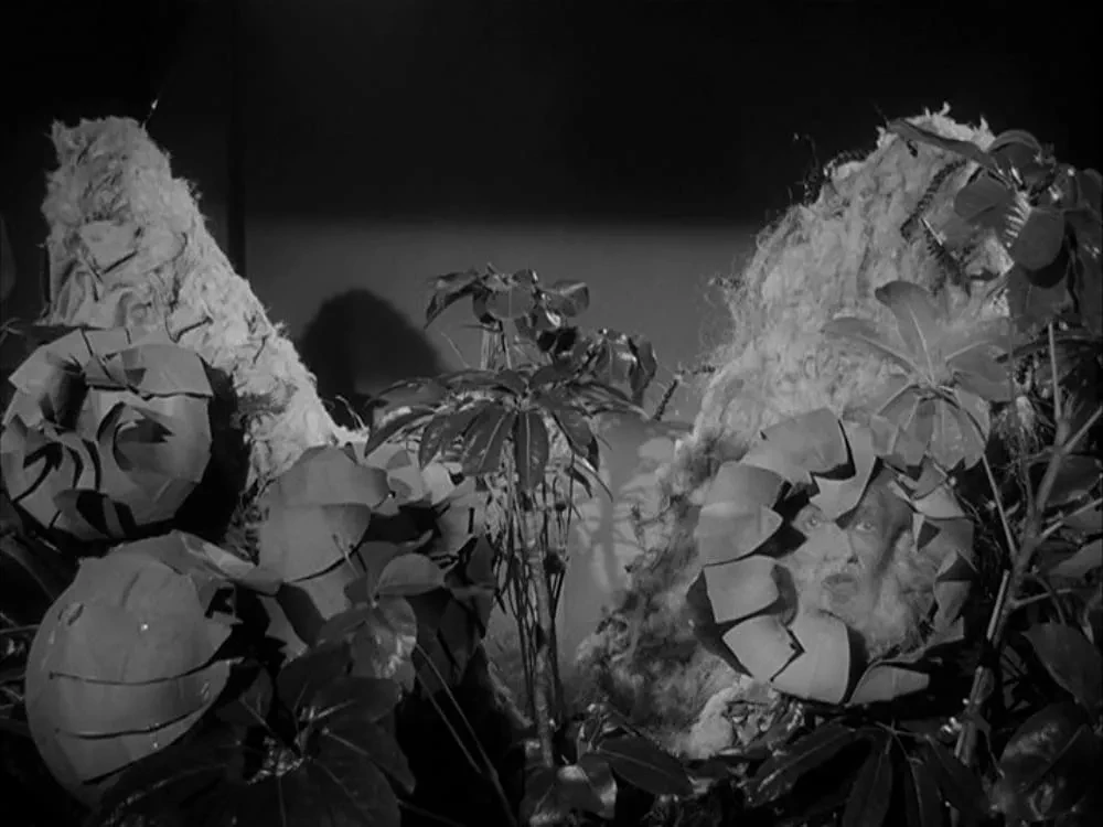 Oto kultowy horror, który powstał w 2 dni i 1 noc. Tanie i piękne Hollywood