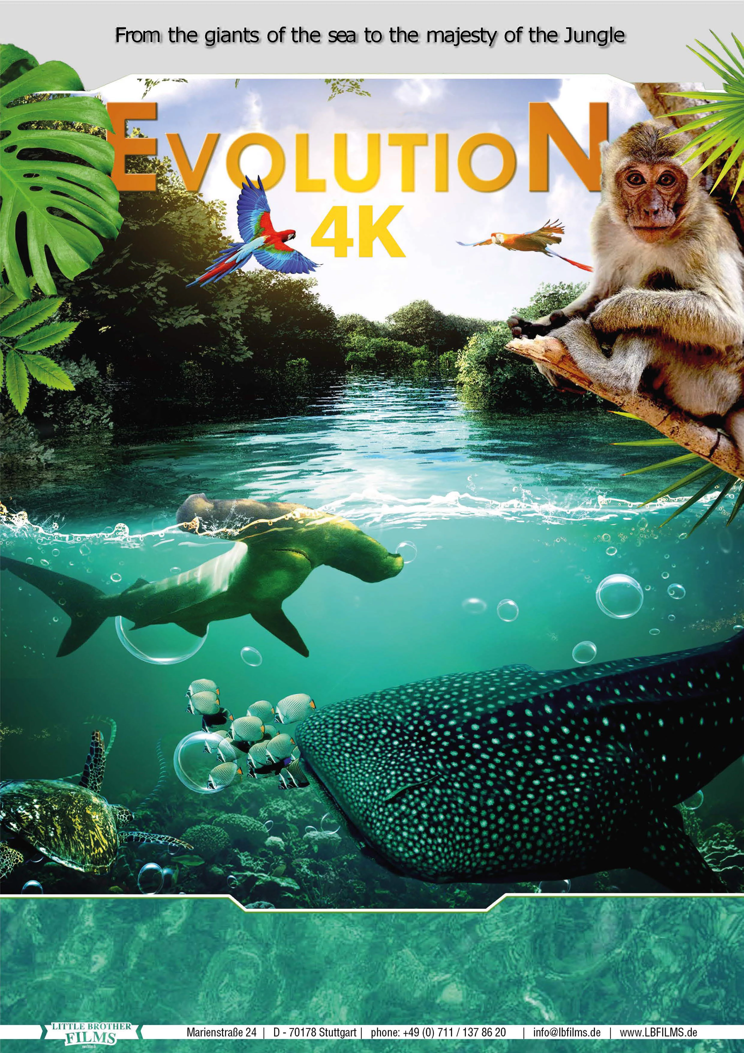     Evolution 4K
