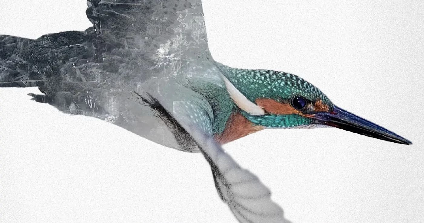 Morderstwa w Marble Hall - recenzja książki