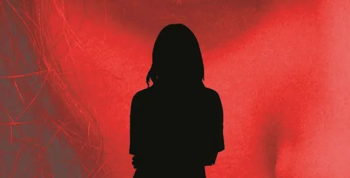 Lokatorka - recenzja książki