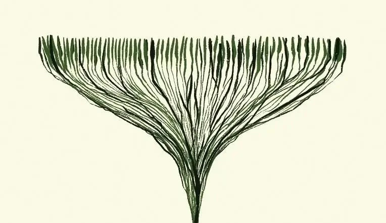 Zabijemy Stellę. Piąty rok - recenzja książki