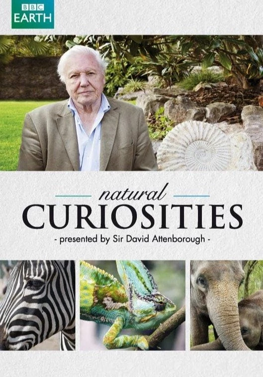     David Attenborough i cuda natury