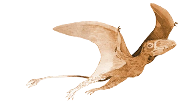 First Giants: Muzeum paleontologiczne - recenzja gry karcianej