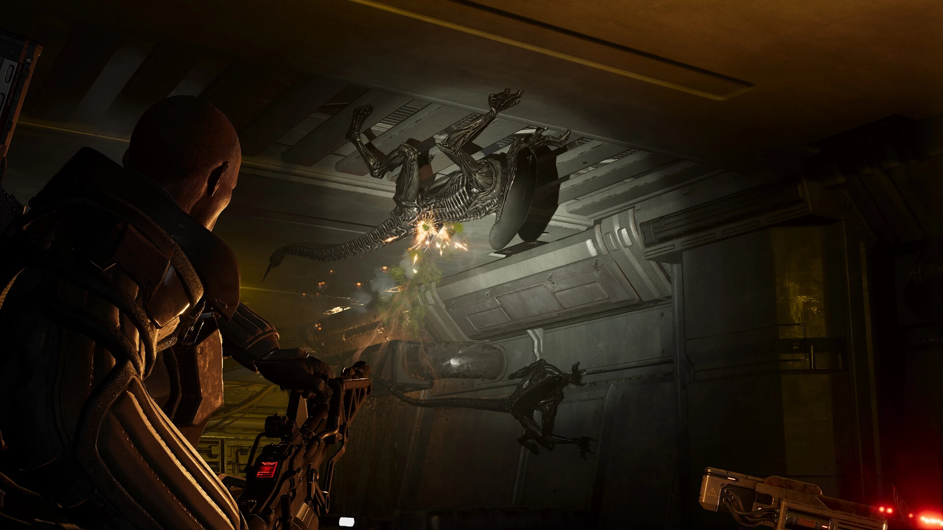 Aliens: Fireteam Elite 2 oficjalnie zapowiedziane! Tym razem cztery osoby zmierzą się z ksenomorfami